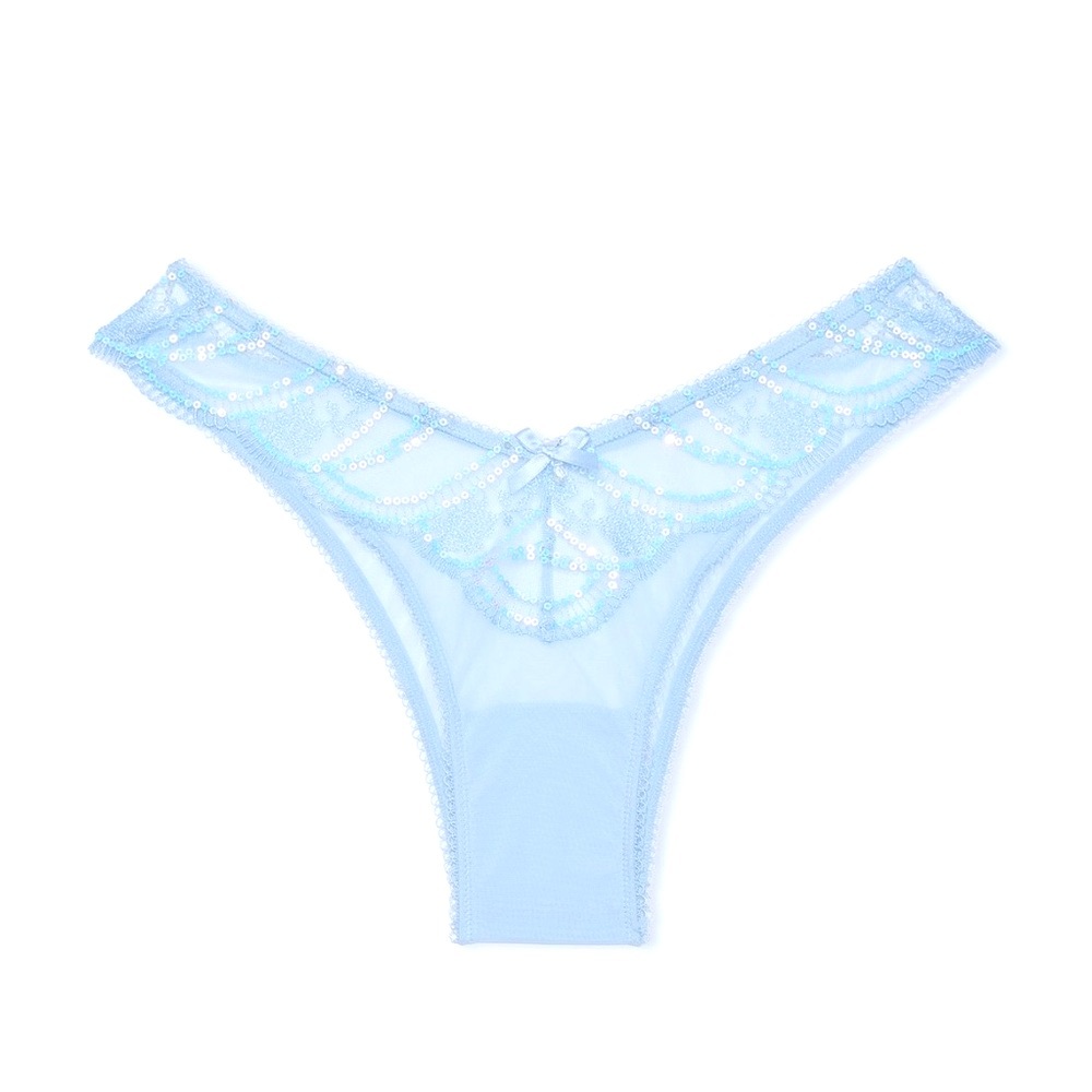 Victoria’s Secret Dream Angels Iridescent Embroidery Brazilian Panty